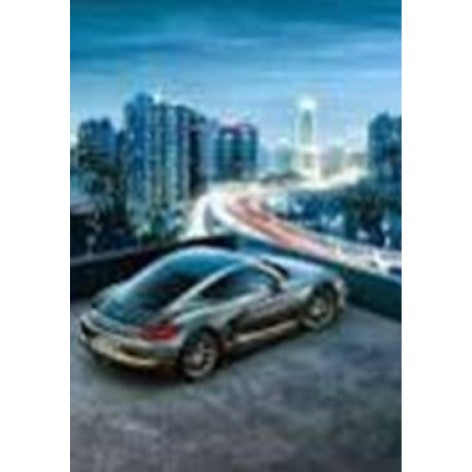 Алмазная мозаика по номерам 30*40 