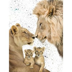 Алмазная мозаика без подрамника 