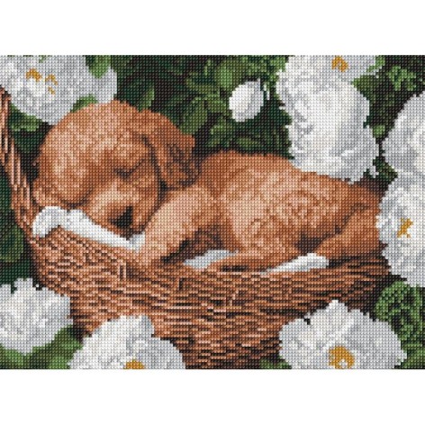 Алмазная мозаика "Спящий пудель" 30x40см