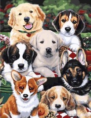 Картина за номерами: Цуценята 40*50 BS5544