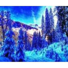 Алмазна мозаїка за номерами 70981GB 30*40 