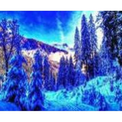 Алмазна мозаїка за номерами 70981GB 30*40 