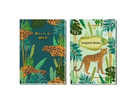 Тетрадь А5(210*148мм), тверда палітурка, 80 аркушів. Серія 