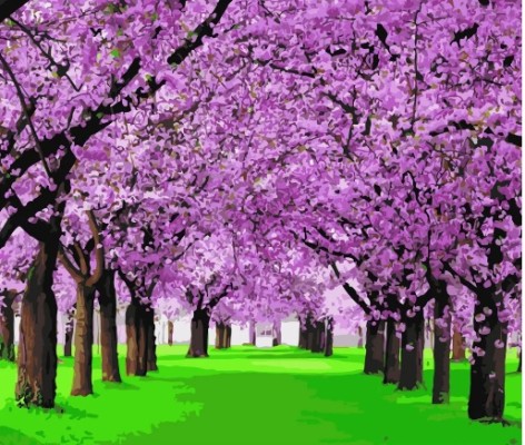 Набір для розпису по номерах Сади сакури Strateg розміром 40х50 см (GS473)