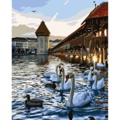 Картина по номерах Лебеді на воді 30х40 см