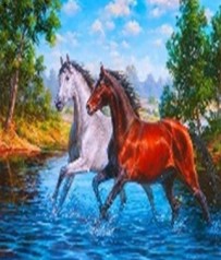 Алмазна мозаїка за номерами 40*50 