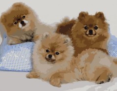 Картина за номерами 