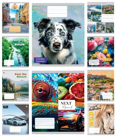 Тетрадь 18 арк.лінія Тверда ТЕ42202 МІКС2, 20 шт. в уп. /400/, 10к.