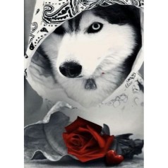 Алмазная мозаика, без подрамника 