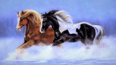 Алмазна мозаїка за номерами 40*50 "Коні" карт уп. (полотно на рамі)