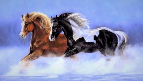 Алмазна мозаїка за номерами 40*50 