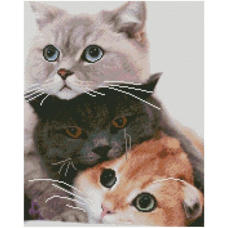 Алмазная мозаика 