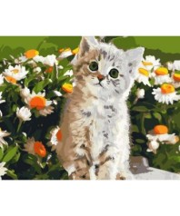 Картина по номерам живопись "Кіт та ромашки" 40*50см