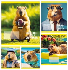 Зошит 24 арк.клітинка Тверда ТА51307 CAPYBARA, 20/320 ціна за 20 шт.