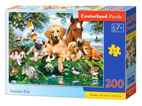 Пазли Castorland 