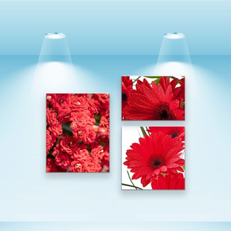 Набір постерів Riviera Blanca "Червоні пелюстки" 3 шт, полотна на підрамнику 40x28см, 40x50см, 40x40см (PS-027)