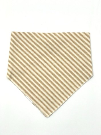 Слинявчик на кнопці, вигляд 2