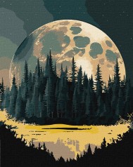 Набор для росписи по номерам КНО5108 