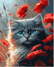 Набір для розпису по номерах Сірий котик у маках Strateg розміром 40х50 см (GS1485)