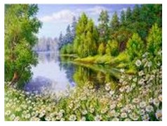 Картина по номерам "Летний лес" 40*50см, краски акрилловые, кисть-3шт.(1*30)