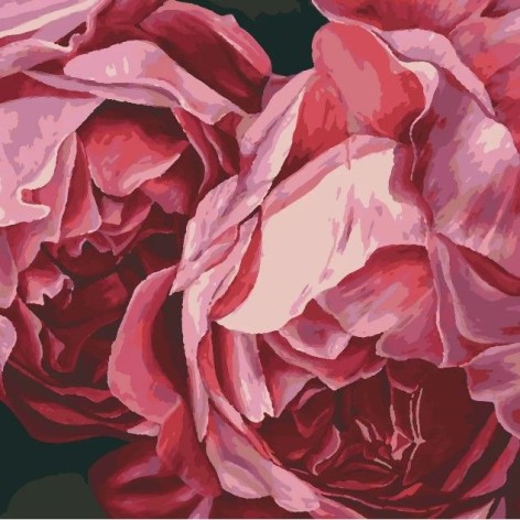 Картина за номерами "Квітучі півонії" 40х40 см