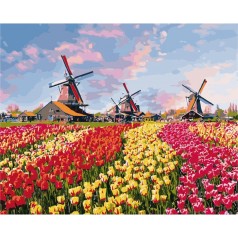 Картина по номерам Сільський пейзаж "Барвисті тюльпани Голландії" 40*50см