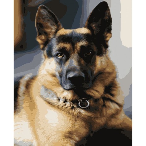 Картина за номерами 