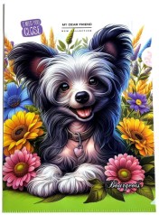 Папка Г-форма А4+ Р0214 (1 відділення)