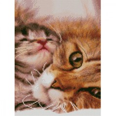 Алмазная мозаика 