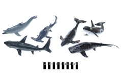 Набір іграшок риб (дельфіни, акули, кити, 6 шт.) HY8-006