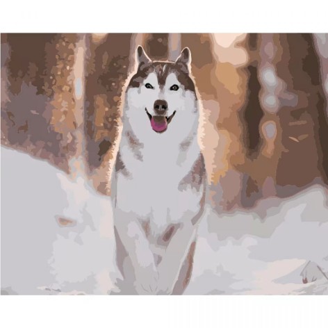 Набір для розпису по номерах Руда хаскі Strateg розміром 40х50 см (GS1576)