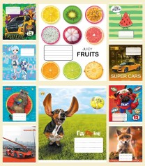 Зошит 12 л. лінія тверда ТЕ52117 12ЛВ2-мікс, 25 шт. в уп.