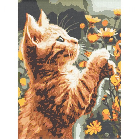 Алмазна мозаїка "Рудий пухнастик" 30х40 см