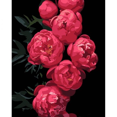 Набор для росписи по номерам Розовые пионы Strateg на черном фоне размером 40х50 см (AH1035)