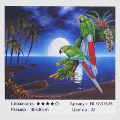 Картина по номерам 40х30см 