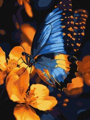 Набір для розпису по номерах Ideyka 