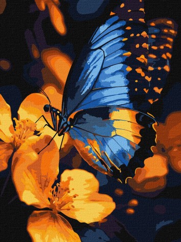 Набір для розпису по номерах Ideyka 