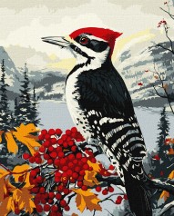 Набір для розпису по номерах 