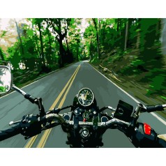 Набір для розпису по номерах Швидкість Strateg розміром 40х50 см (DY106)