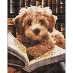 Алмазна мозаїка Ідейка 