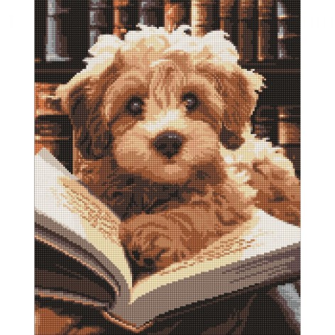 Алмазна мозаїка Ідейка "Пушистий читатель" 40x50 см (AMO7973)