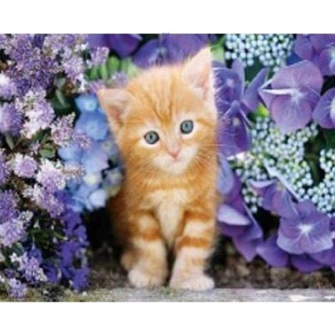 Алмазная мозаика по номерам 30*40 