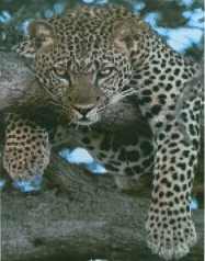 Набор для творчества алмазная картина Леопард на отдыхе Strateg размером 40х50 см (D0051)