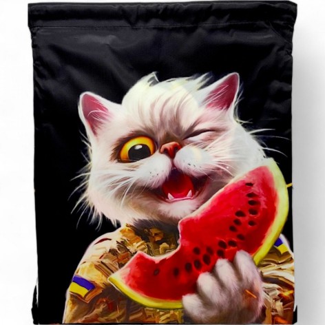 Рюкзак-мешок, водонепроницаемый "Котик ВСУ", 42х35,5 см