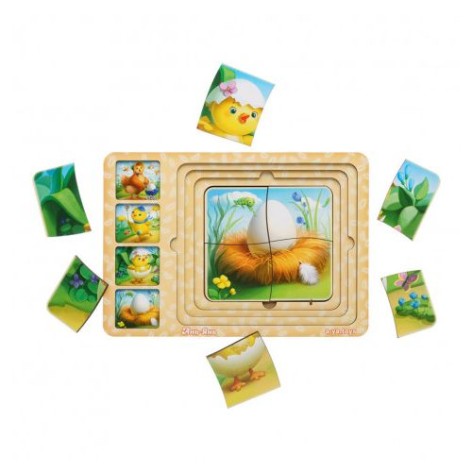 Сортер-пазл "Етапи розвитку курочки"