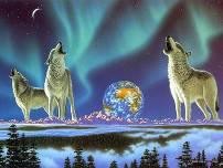 Картина по номерам 20*30 см J.Otten Воющие волки OPP(холст на раме, с красками, кистью)