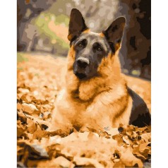 Картина за номерами 