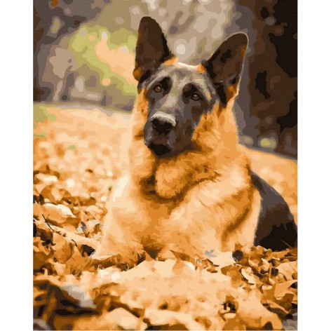 Картина за номерами 