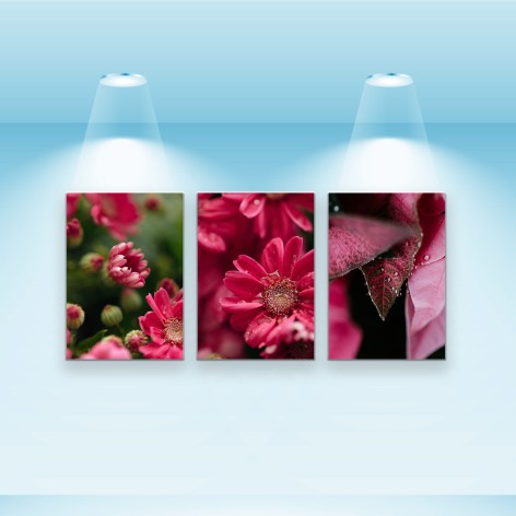 Набір постерів Riviera Blanca "Коралові квіти" 28x40 см, 3 шт (PS-033)