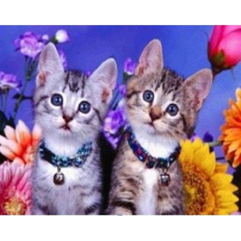 Алмазная мозаика по номерам 30*40 